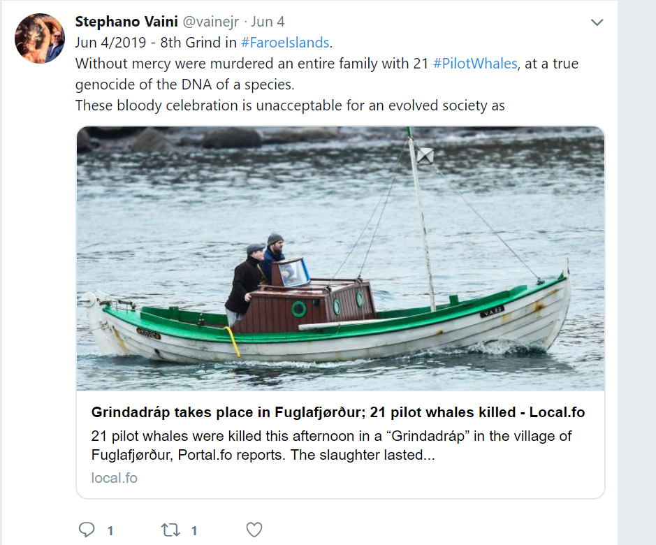 Stop this Atrocity: Grindadrap – The Ritual of Killing Sea Animals Will Lead to Our Doom