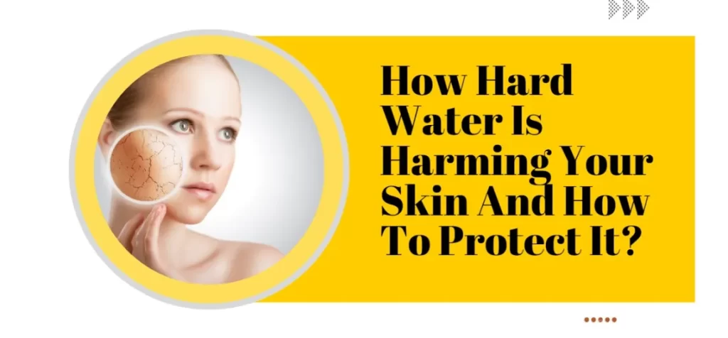 WhatsApp Image 2022 06 27 at 11.34.39 AM 1