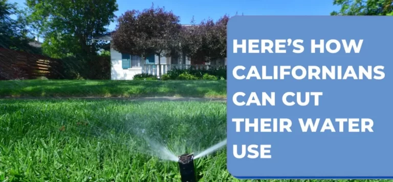 Here’s How Californians Can Cut Their Water Use