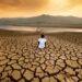 water stress