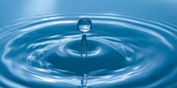 Deionized Water Vs. Distilled Water- Everything You Need to Know