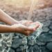 seawater desalination