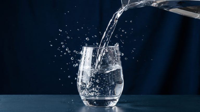 How Important is Water for Your Pet’s Health?