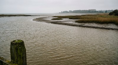 Brackish water estuary where river water mixes with seawater