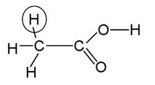 Haloacetic